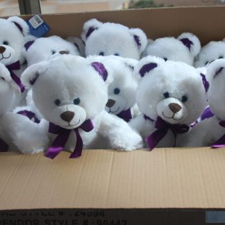 Box of Heartbeat Bears