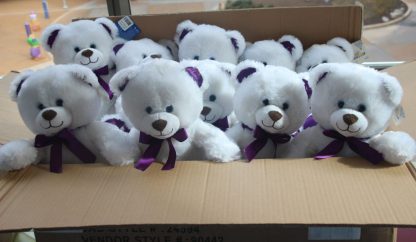 Box of Heartbeat Bears