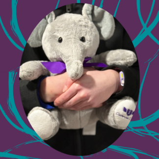 Collins Elephant - Companion Crew