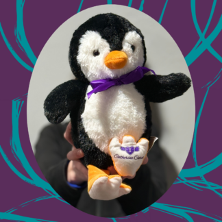 Zuri Penguin - Companion Crew